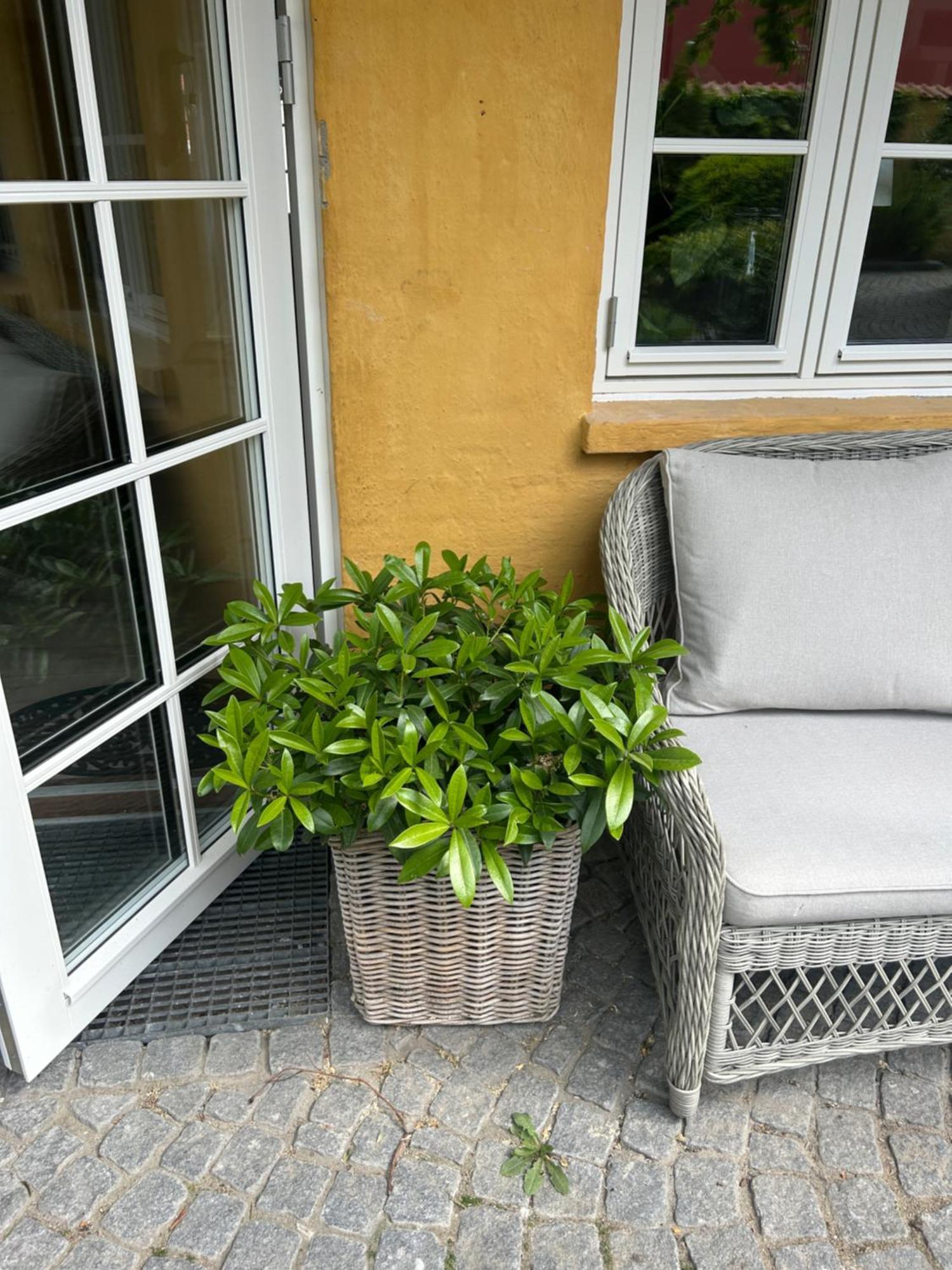 Vidunderligt Hus Med Gardhave - Midt I Centrum Aalborg Esterno foto